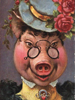 Pigs