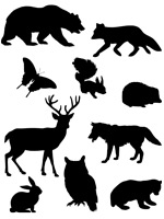 Animals