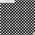 Black & White Polka Dots Size