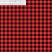 Small Red Buffalo Plaid with Ruler