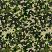 Green Woodland Camo Oracal 651 Vinyl