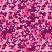 Camouflage Pink Woodland Size Vinyl