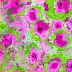 Printed Pattern Vinyl - Glossy - Pink and Green Art 12" x 24" Sheet