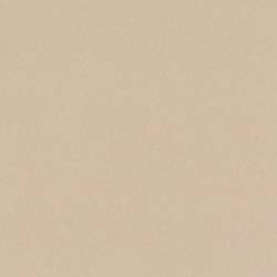 Bazzill Smoothie Cardstock - Almond Cream - 12" x 12" Sheet