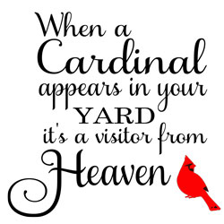 Free Download - Cardinal Visitor