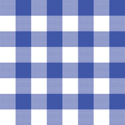 Blue gingham deals