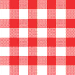 Printed Pattern Vinyl - Glossy - Red Gingham Small 12" x 12" Sheet