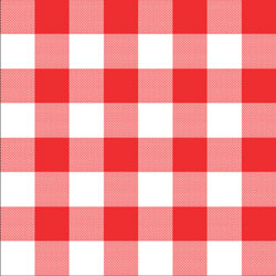 Printed Pattern Vinyl - Glossy - Red Gingham Small 12" x 24" Sheet