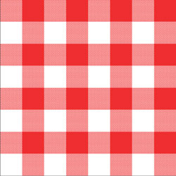 Printed Pattern Vinyl - Glossy - Red Gingham Small 12" x 24" Sheet