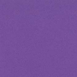 Bazzill Smoothie Cardstock - Grape Delight - 12" x 12" Sheet