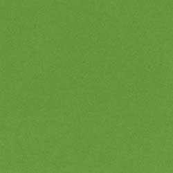 Bazzill Smoothie Cardstock - Lime Crush - 12" x 12" Sheet 