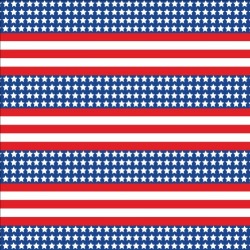 Printed Pattern Vinyl - Glossy -  Patriotic US Flag Small 12" x 12" Sheet