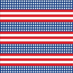 Printed Pattern Vinyl - Glossy -  Patriotic US Flag Small 12" x 12" Sheet