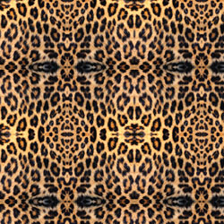 Printed Pattern Vinyl - Glossy - Real Leopard 12" x 12" Sheet