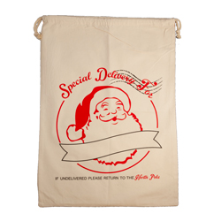 Santa Sack - Special Delivery