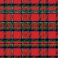 Printed Pattern Vinyl - Glossy - Stewart Plaid 12" x 24" Sheet