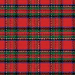 Printed HTV Stewart Plaid Print 12" x 15" Sheet