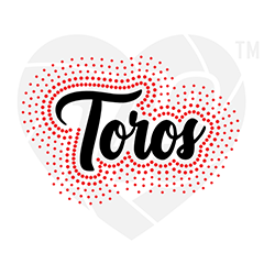 Faux Rhinestone - Toros