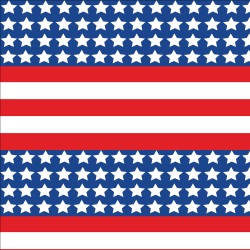 Printed Pattern Vinyl - Glossy - Patriotic US Flag 12" x 24" Sheet