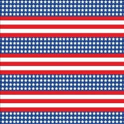 Printed HTV Patriotic US Flag Small Print 12" x 15" Sheet
