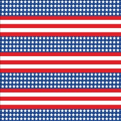 Printed HTV Patriotic US Flag Small Print 12" x 15" Sheet