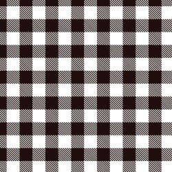 Printed HTV White Buffalo Plaid Print 12" x 15" Sheet