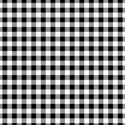 Printed HTV - Check Please - Black  12" x 15" Sheet