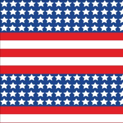 Printed Pattern Vinyl - Glossy - Patriotic US Flag 12" x 12" Sheet
