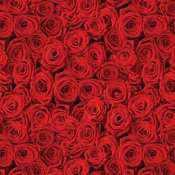 Printed HTV -  Red Rose  12" x 15" Sheet