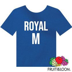 Fruit of the Loom Iconic™ T-shirt - Royal - Medium