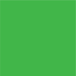 Siser EasyPSV - Bright Green (57) - 12" x 12" Sheet Siser EasyPSV - Bright Green (57) - 12" x 12" Sheet