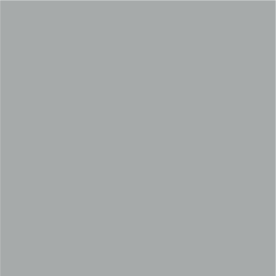 Siser EasyPSV - Silver Dollar (13) - 12" x 24" Sheet Siser EasyPSV - Silver Dollar (13) - 12" x 24" Sheet