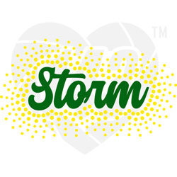 Faux Rhinestone - Storm