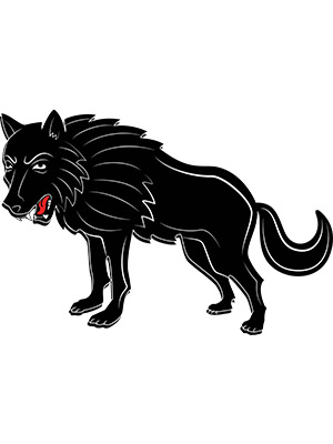 Black Wolf Snarling
