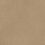 American Craft Cardstock - Smooth - Caramel - 12" x 12" Sheet