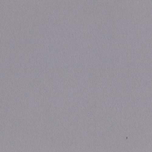 Bazzill Smoothie Cardstock - Date Swirl - 12" x 12" Sheet