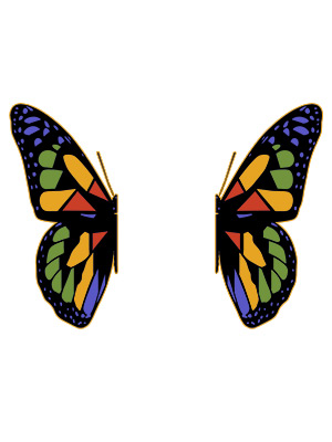 Dream Split Butterfly