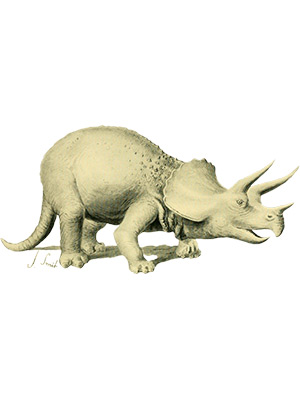 Extinct Monster Triceratops