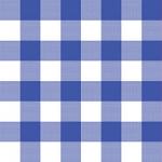 Printed Pattern Vinyl - Glossy - Blue Gingham Small 12" x 12" Sheet