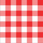 Printed Pattern Vinyl - Glossy - Red Gingham Small 12" x 12" Sheet