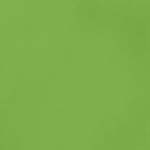 American Craft Cardstock - Smooth - Grass - 12" x 12" Sheet