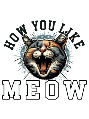 How You Like Meow - 143  