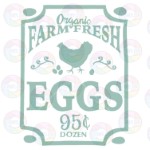 Organic Farm Fresh Eggs