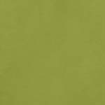 American Craft Cardstock - Smooth - Leaf - 12" x 12" Sheet