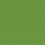 Bazzill Smoothie Cardstock - Lime Crush - 12" x 12" Sheet 