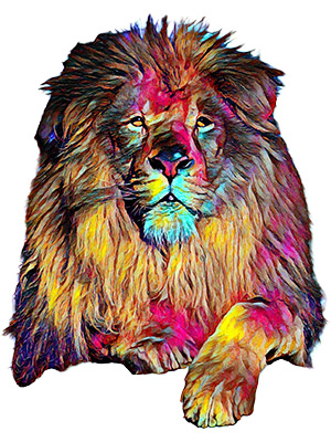 Lion Afrique Rainbow