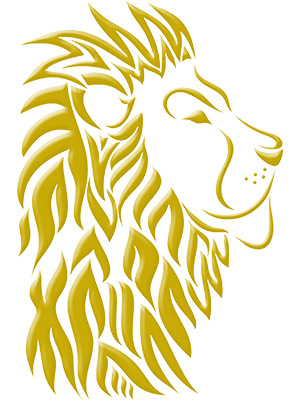 Lion Head Illustration