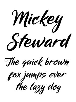 Mickey Steward