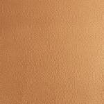 Faux Leather - 12 x 12 Sheet Pearlized Antique Gold 