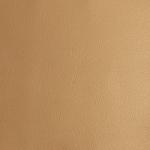Faux Leather - 12 x 12 Sheet Pearlized Gold